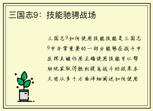 三国志9：技能驰骋战场